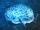 Hur reagerar hjärn av elchocker?