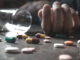 890 döda varje år av narkotika och läkemdelsförgiftning